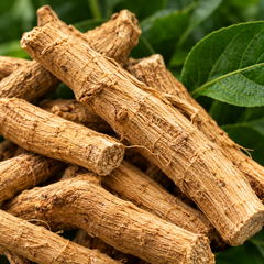 Ashwagandha